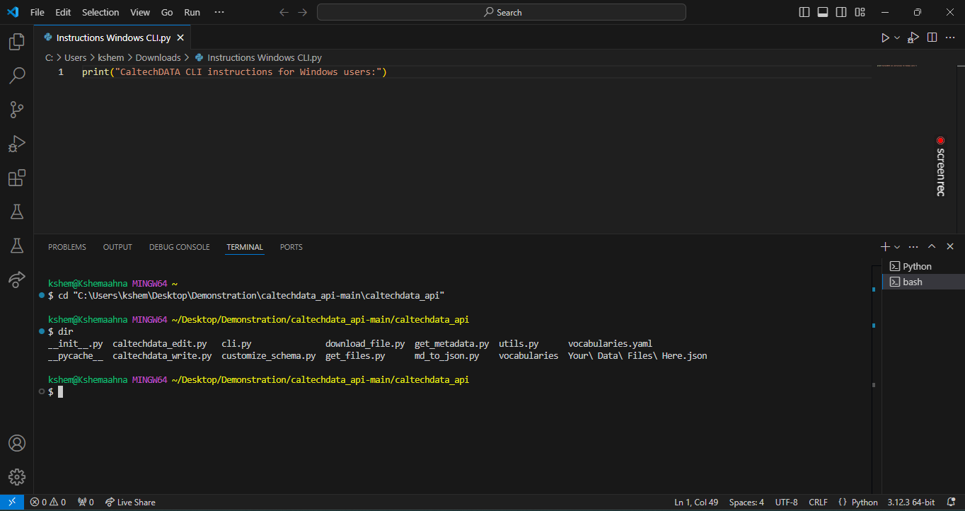 VSCode attached files